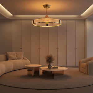 ceiling fan with light and remote