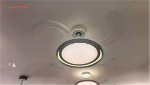 LI460247 product image 1
