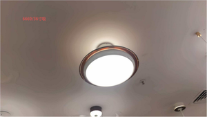 LI460248 product image 1