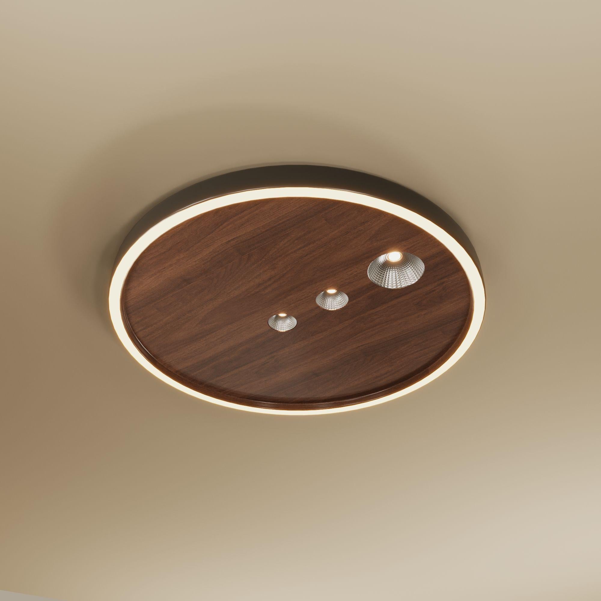 40cm Dimmable LED Ceiling Light with Night Light Mode