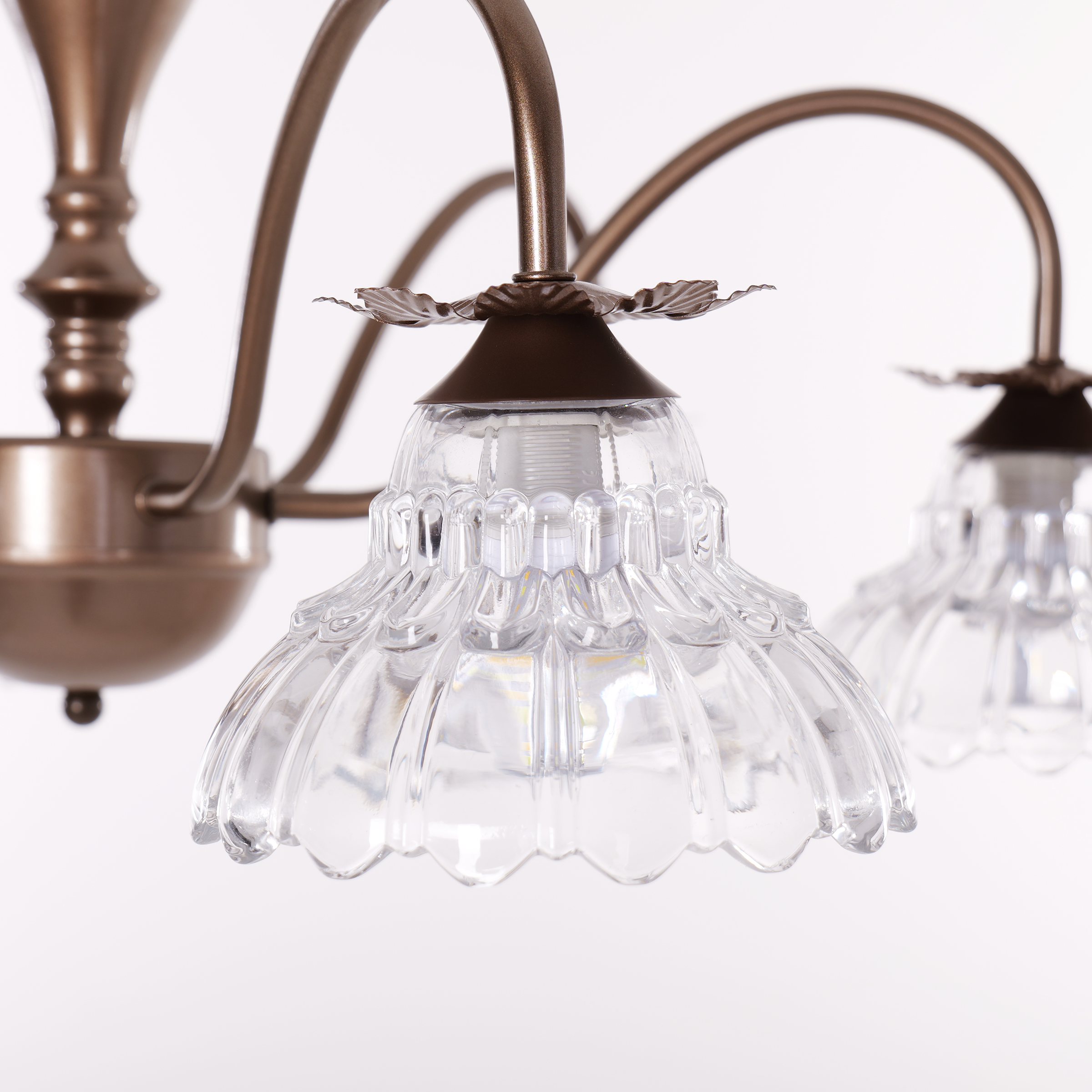 gold 6-light floral glass chandelier styled in a warm living room