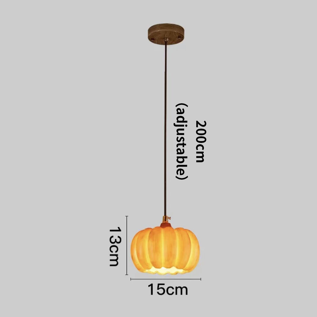 LED Pumpkin Resin Pendant Light