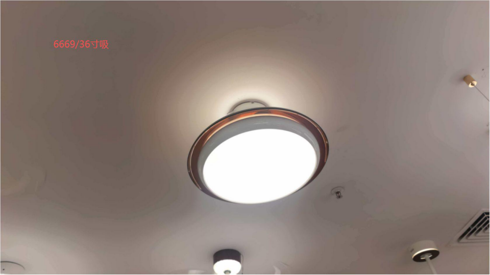 LI460248 product image 1