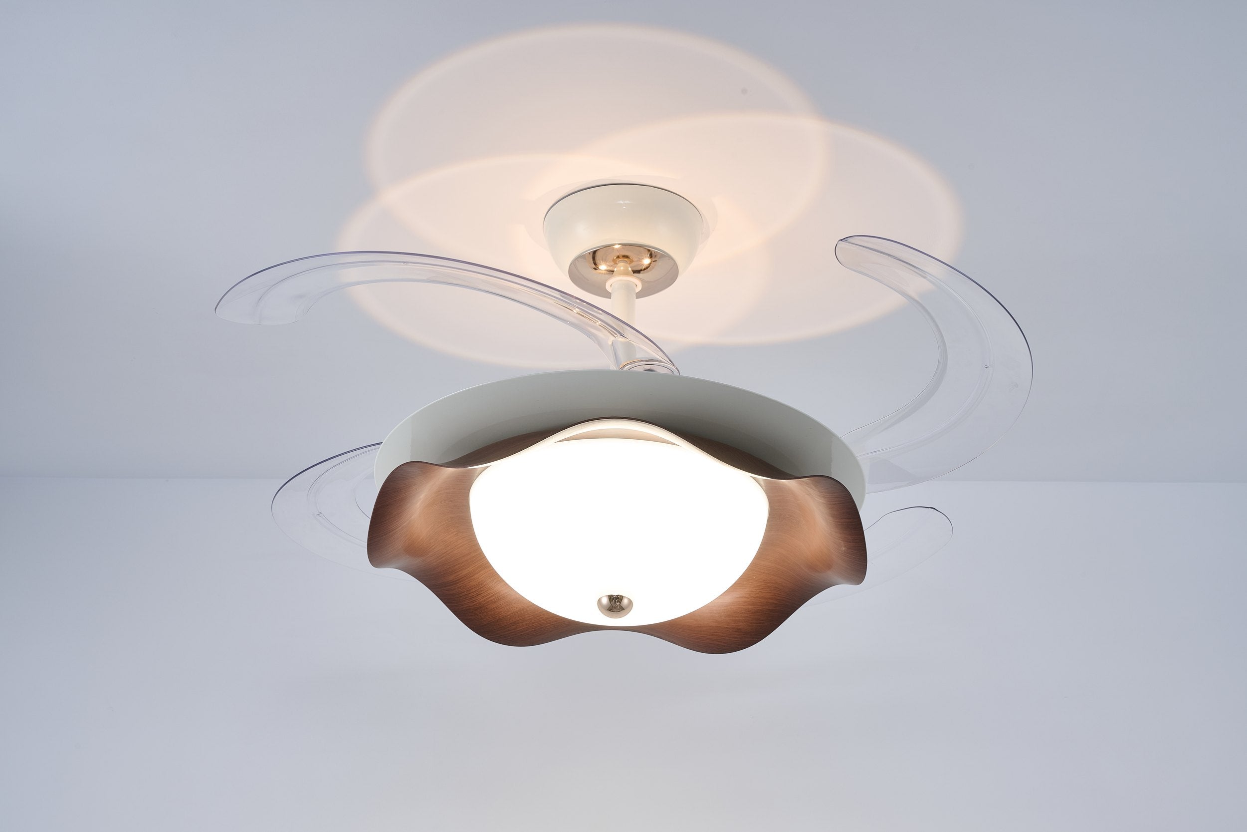 LI460254 product image 2