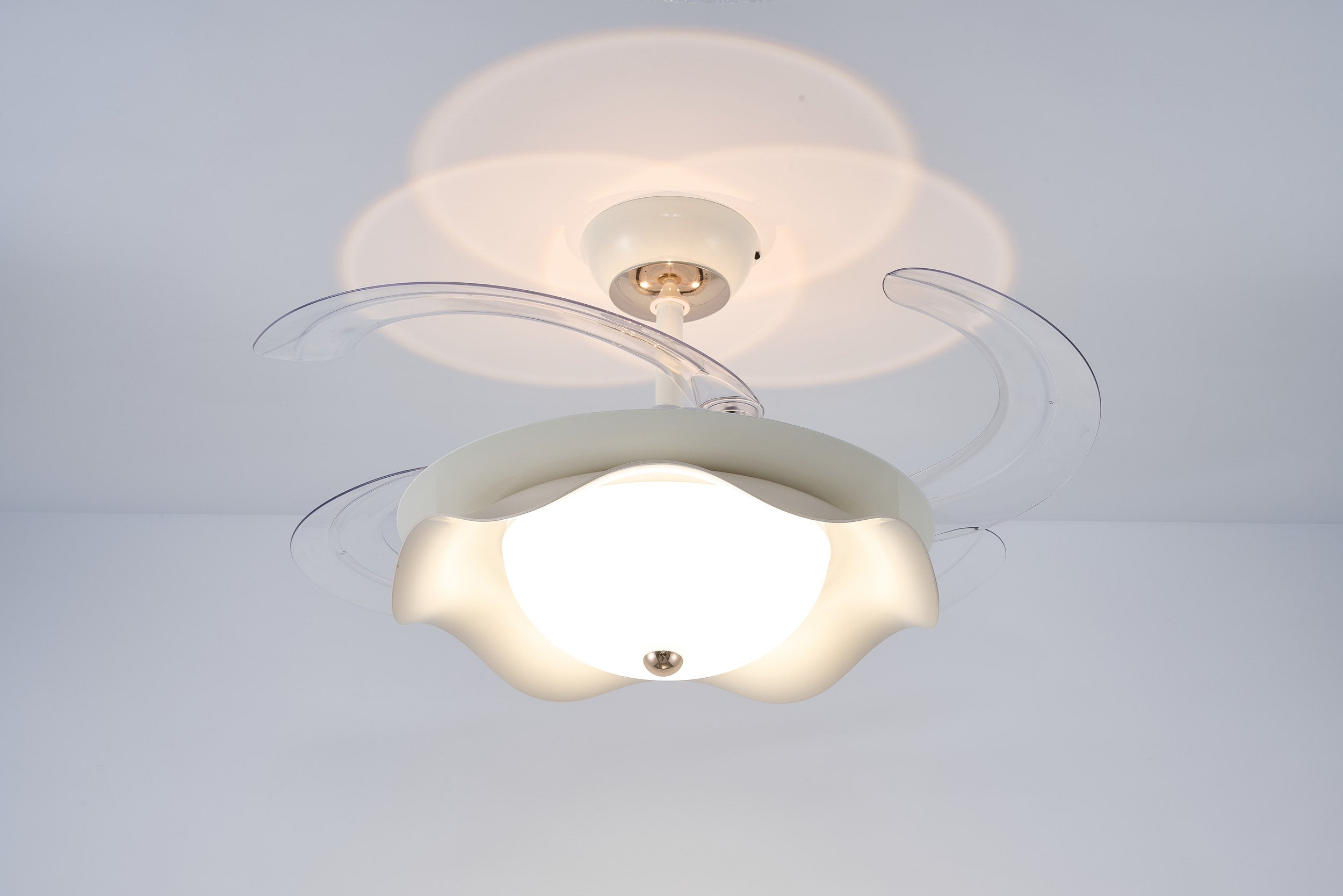 LI460255 product image 2