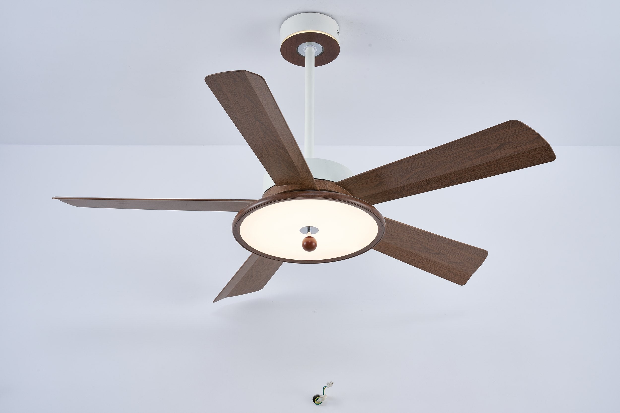 LI460257 product image 2
