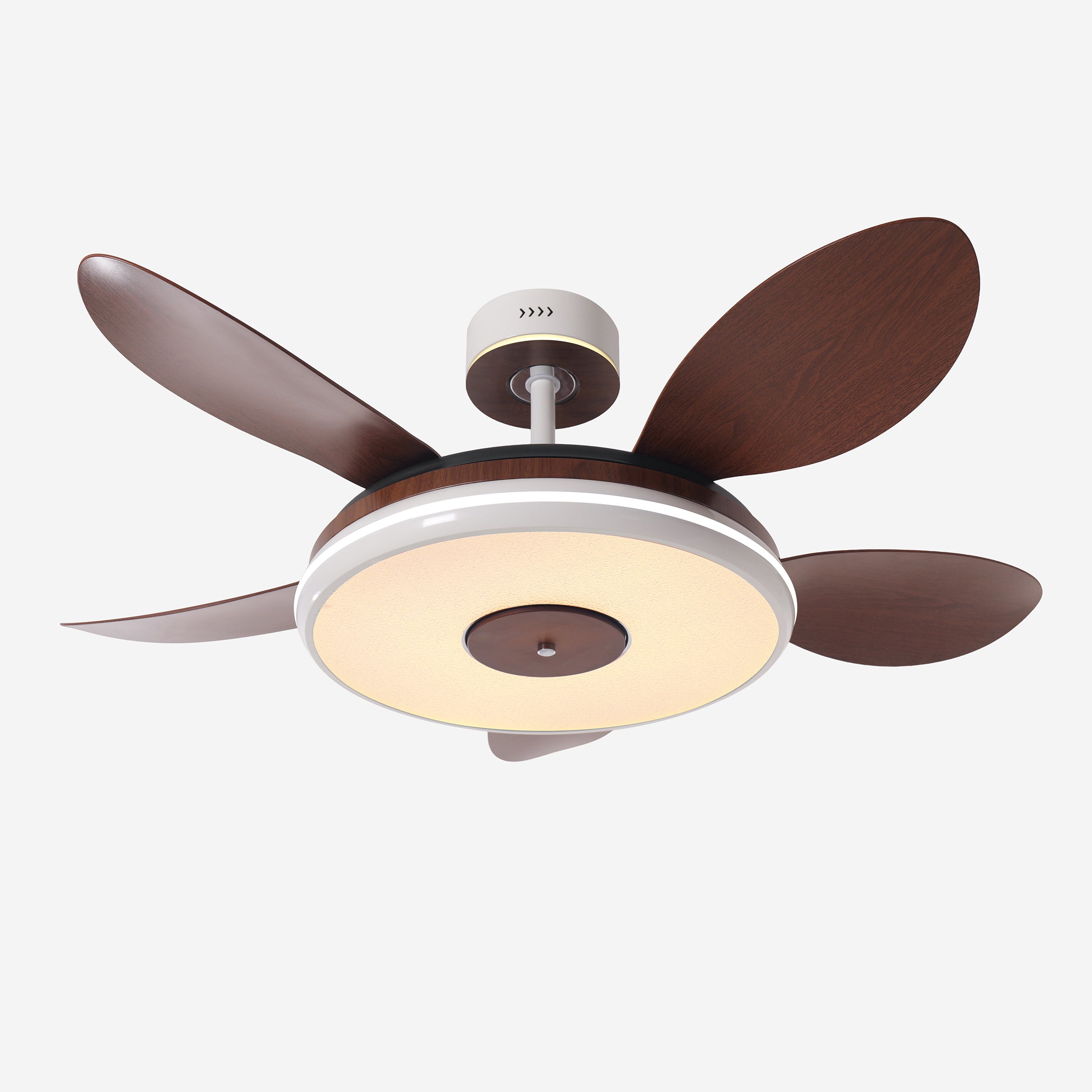 Walnut 48 Inch Reversible LED Ceiling Fan Light with Remote