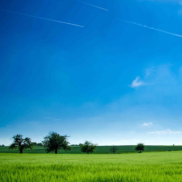 Modern Dimmable LED Ceiling Light Full Spectrum Round Fixture