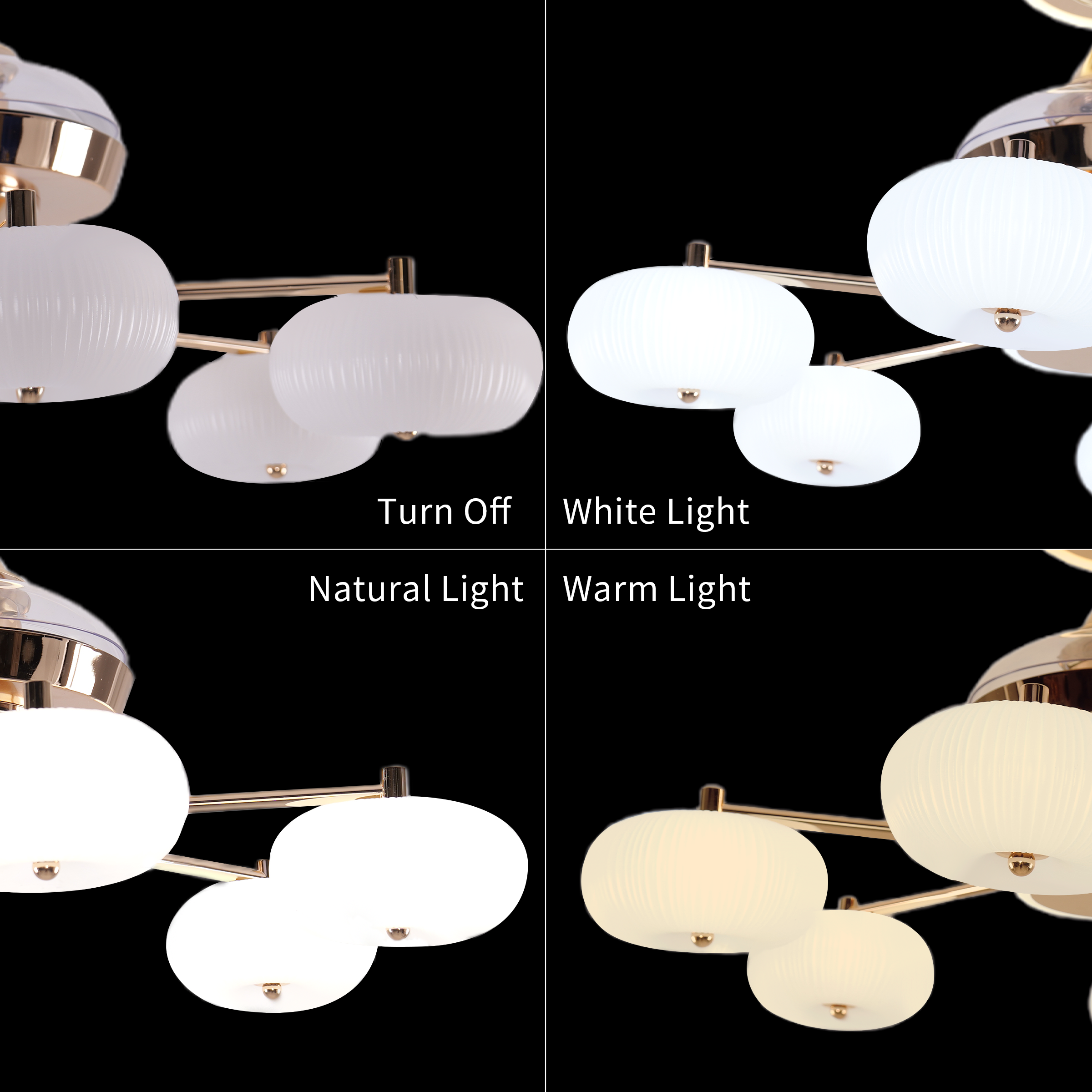 Quiet Copper Acrylic Ceiling Fan Light with 6-Speed Control and Remote light shown lit with warm