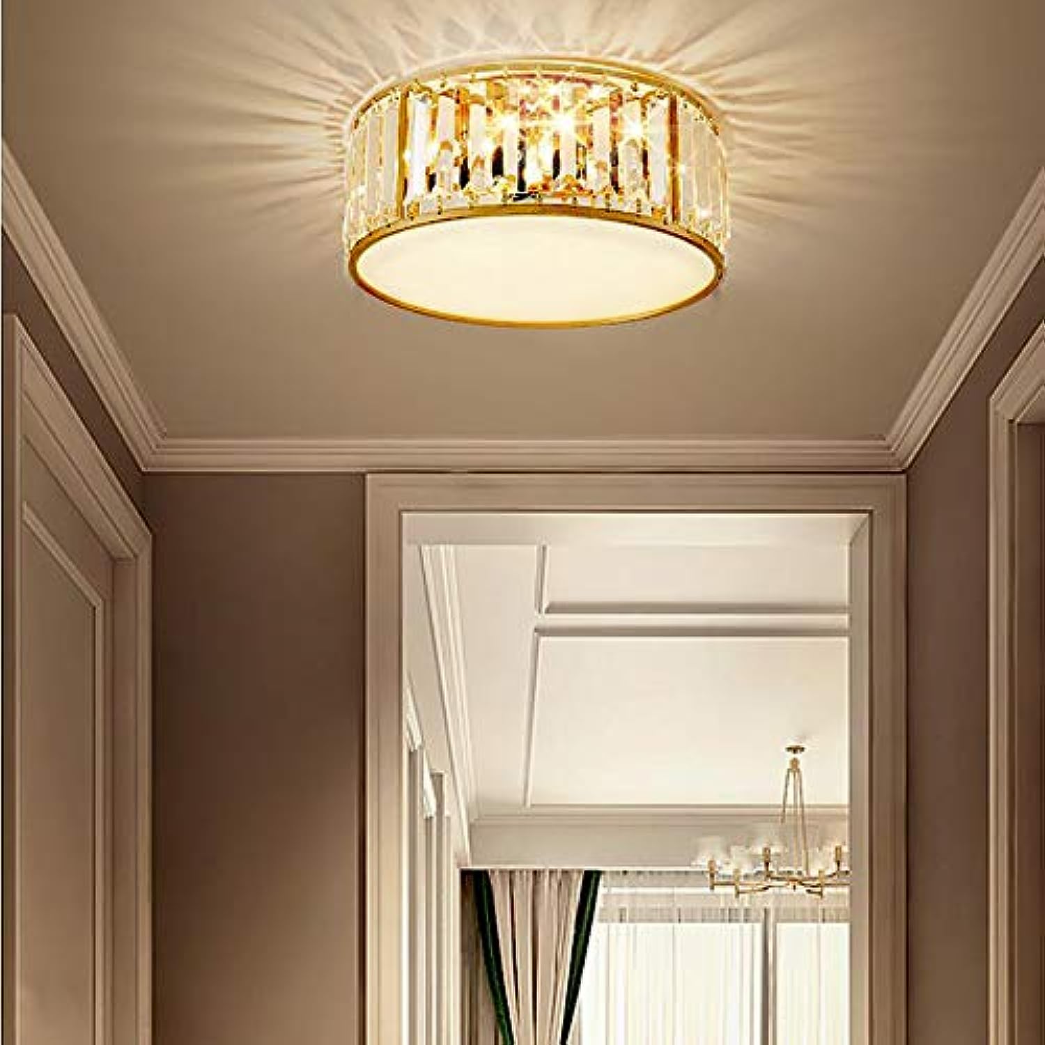 Modern Gold Acrylic Drum Flush Mount Light with Crystal Rim